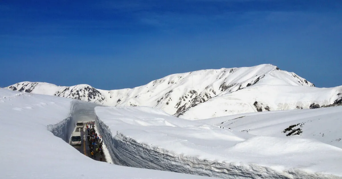 ทัวร์ญี่ปุ่น เจแปนแอลป์ กำแพงหิมะ คามิโคจิ  ฮาคุบะ  ฟูจิชิบะซากุระ หมู่บ้านชิราคาวาโกะ