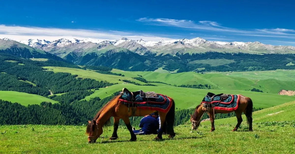 ทัวร์จีน มหัศจรรย์ ซินเจียงเหนือ อูรุมฉี แกรนด์แคนยอนตู๋ซานจื่อ ทุ่งหญ้านาราถี