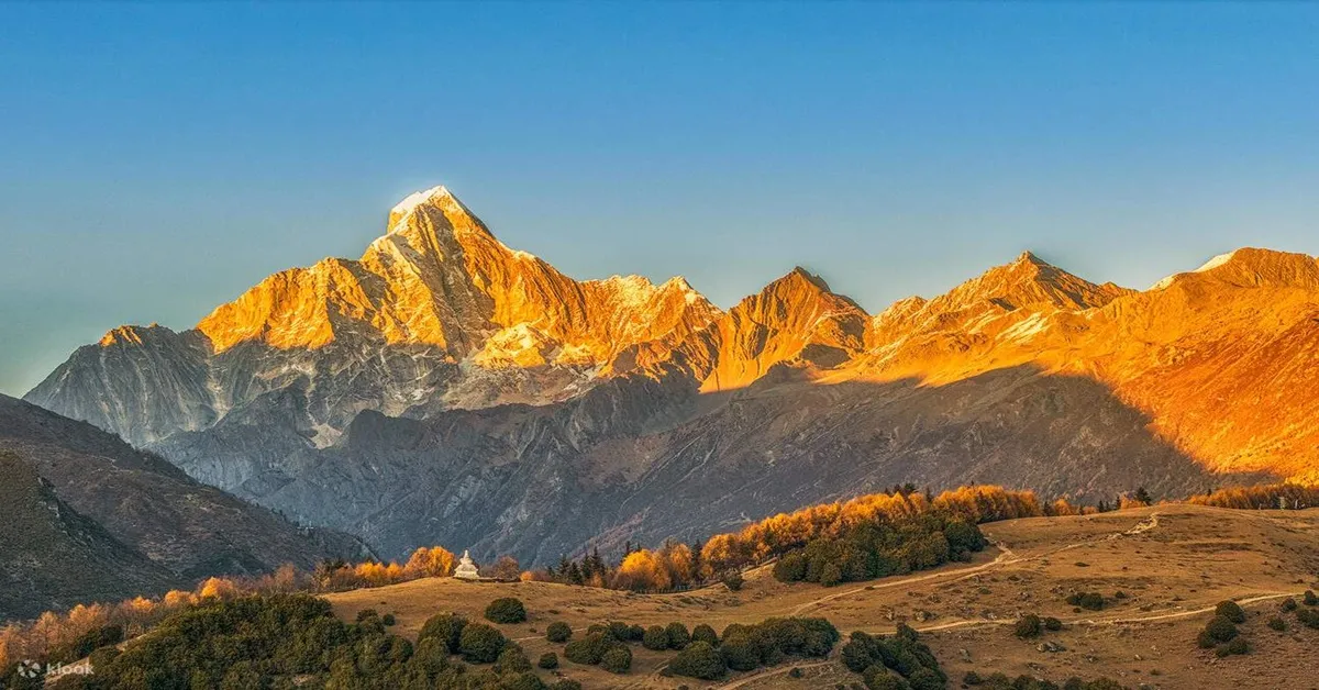 ทัวร์จีน เฉิงตู ภูเขาสี่ดรุณี หุบเขาซวงเฉียวโกว แพนด้าปีนตึก