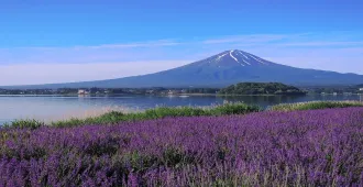 ทัวร์ญี่ปุ่น โตเกียว ฟูจิ คามาคุระ เอโนชิมะ