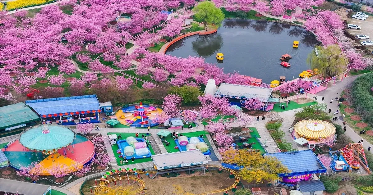 ทัวร์จีน เฉิงตู ปี้เผิงโกว แพนด้าเซลฟี สวนดอกไม้ MANHUA MANOR ถนนคนเดินชุนซีลู่